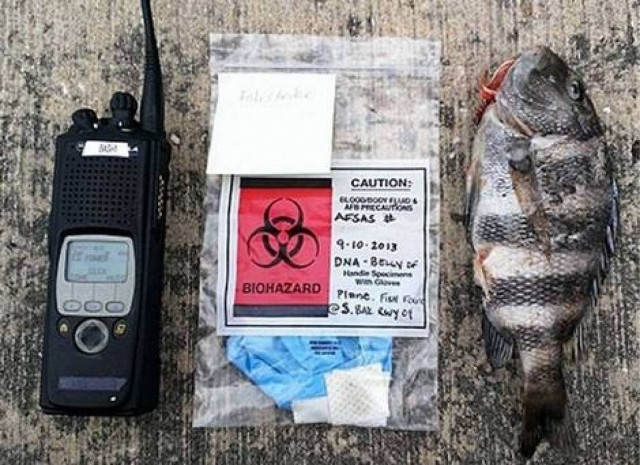 Ψάρι βρέθηκε σε αεροδιάδρομο!