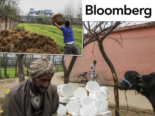 Κοπριά και μύγες στην παραγωγή φθηνών γενόσημων