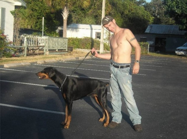 Τσάμπα μάγκας! - Είπε ότι πάλεψε με αρκούδα αλλά... (pic)