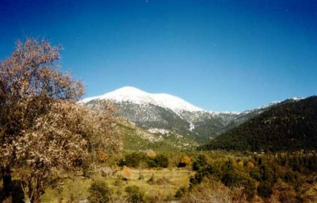 Αναδάσωση το Σάββατο στο Μαίναλο
