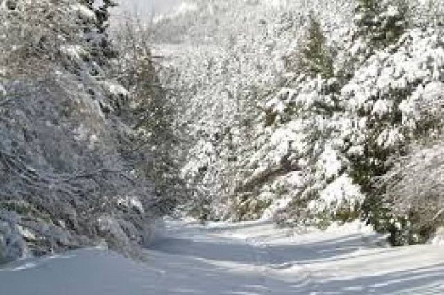 Χιόνια στον Εβρο!