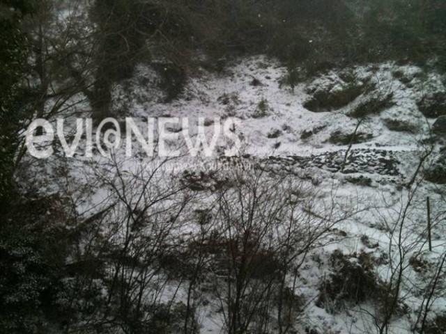 Εύβοια: Στα λευκά ντύθηκαν τα ορεινά της Στενής (pics)