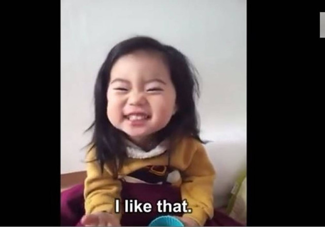 Video of the day: Sweet confusion