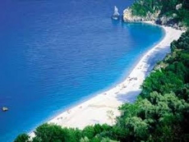 Φωτιά στο Χορευτό Πηλίου