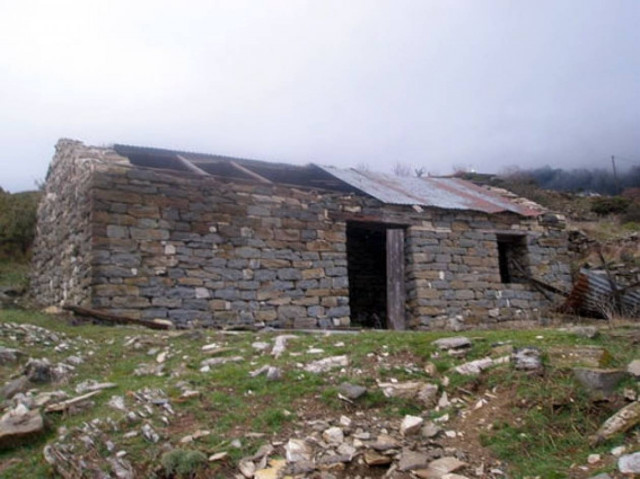 Συγκλονίζουν τα ευρήματα σε μαντρί στη Λάρισα