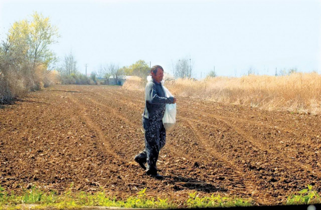 Greece's ambassador to Washington DC for the agricultural sector