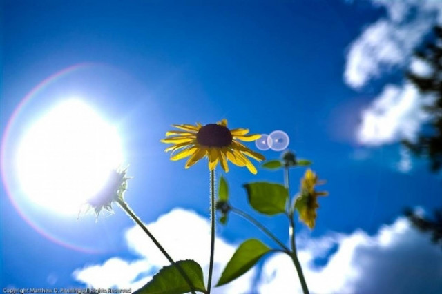 Ζέστη και ηλιοφάνεια σε όλη τη χώρα