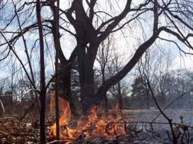 Βρήκαν ποιοί είχαν βάλει φωτιές στα Χανιά
