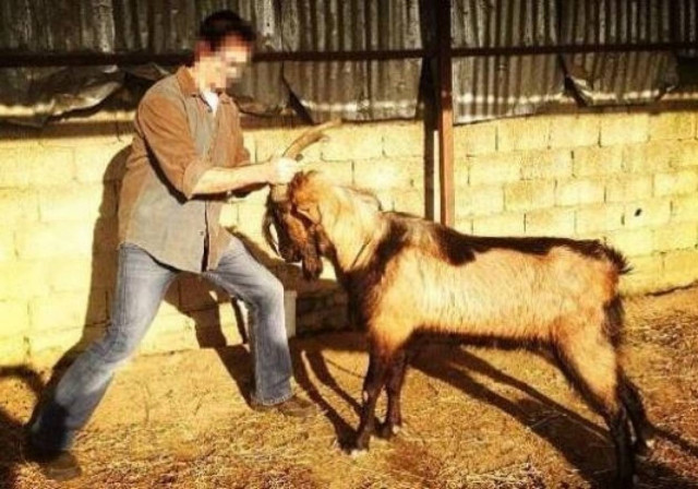 Δείτε ποιος γνωστός ηθοποιός ήρθε αντιμέτωπος με... τράγο (photo)