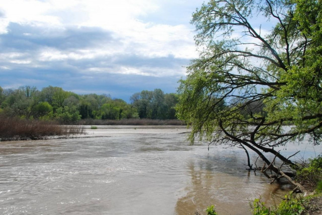 Θεσσαλονίκη: Εθελοντές καθάρισαν το Δέλτα Αξιού