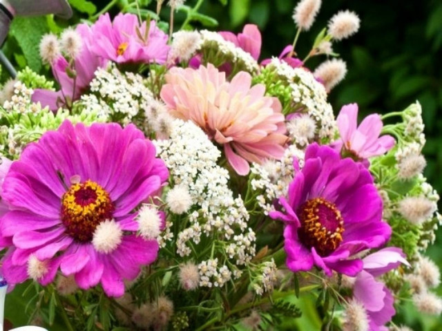 What's in the Stars today, March 24?