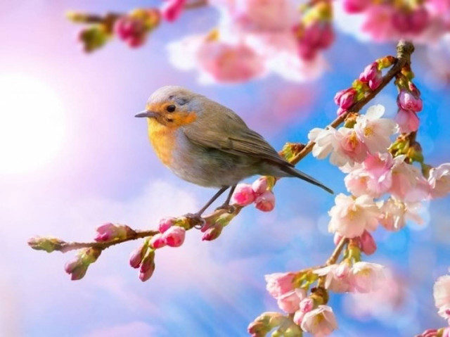 What's in the Stars today, March 27?