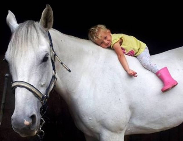 Αυτό το βίντεο θα σε «αγγίξει»! Κοριτσάκι βγάζει βόλτα ένα…