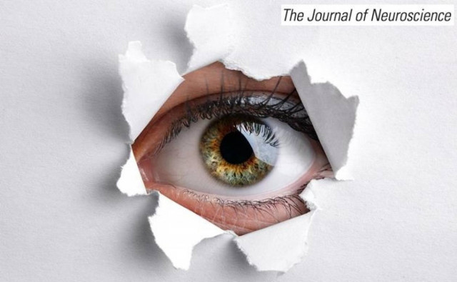 Ο πιο εύκολος και υγιεινός τρόπος να σώσετε τα μάτια σας