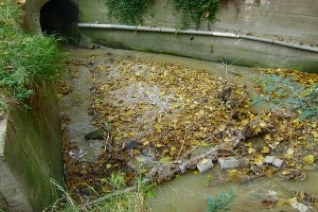 Τούμπα: Εθελοντικός καθαρισμός του ρέματος της Υφανέτ