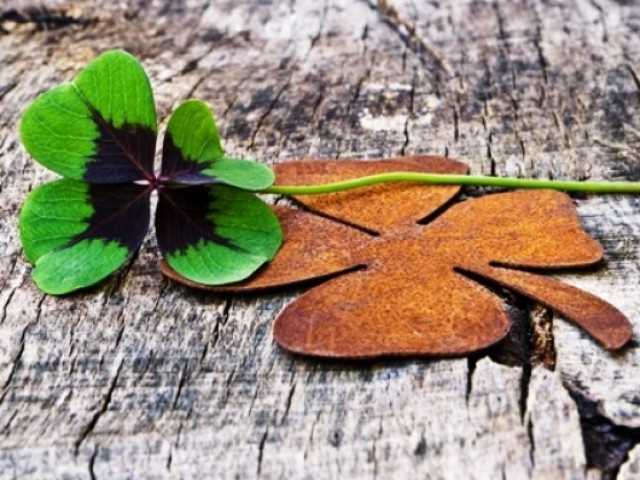 Οι τυχερές και όμορφες στιγμές της ημέρας: Σάββατο 29 Μαρτίου