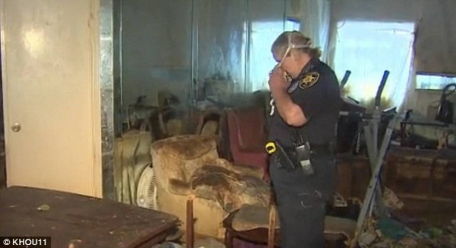 Πάνω από 130 γάτες διασώθηκαν από σπίτι - τρώγλη! (pics)