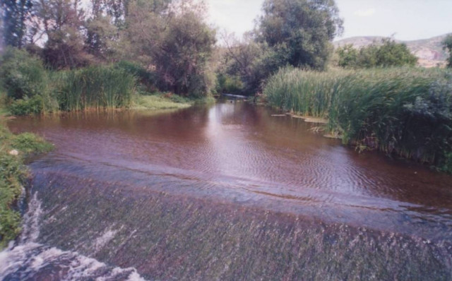 Εθελοντικός καθαρισμός στον Γαλλικό ποταμό