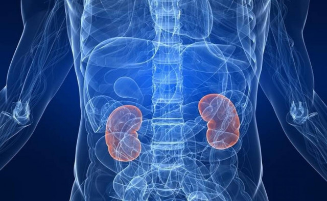 Δέκα σημάδια ότι κάτι δεν πάει καλά με τα νεφρά σας