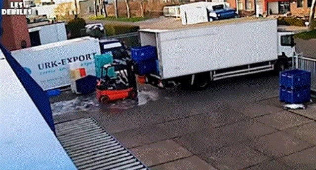 Ολλανδία: Έκανε μπάνιο με φρέσκα… ψάρια! (video)