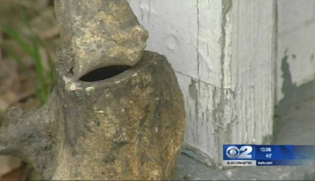 Γιούτα: Έσκαβε στην πίσω αυλή και ανακάλυψε έναν... (photos)