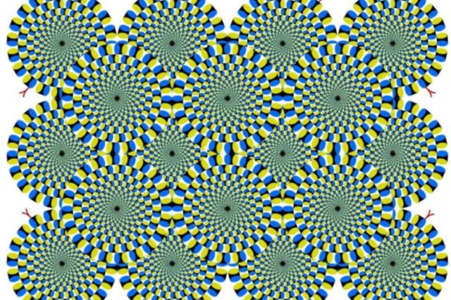 Η απίστευτη αντίδραση μιας γάτας σε αυτή την οφθαλμαπάτη! (video)