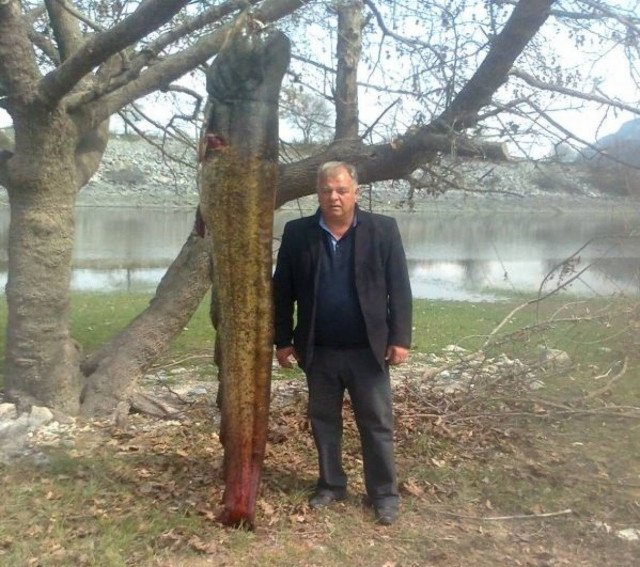 Δεν το πίστευε: Ο γουλιανός που ψάρεψε τον περνούσε σε μπόι