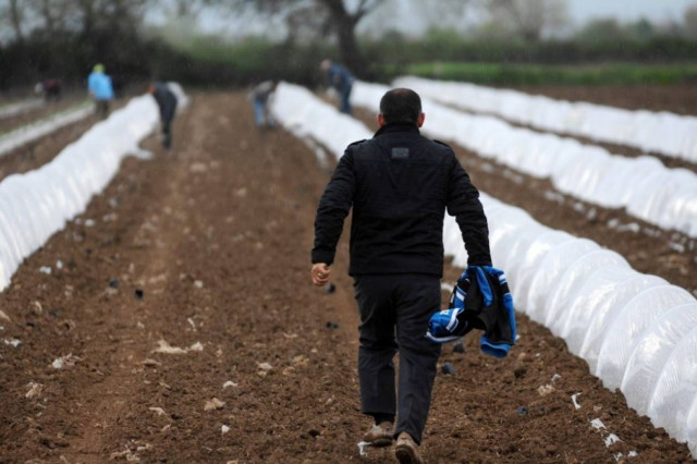 Τα «τσουχτερά» πρόστιμα μείωσαν την αδήλωτη εργασία