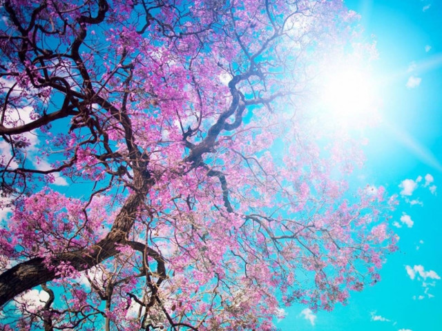 Ηλιόλουστος καιρός και άνοδος της θερμοκρασίας