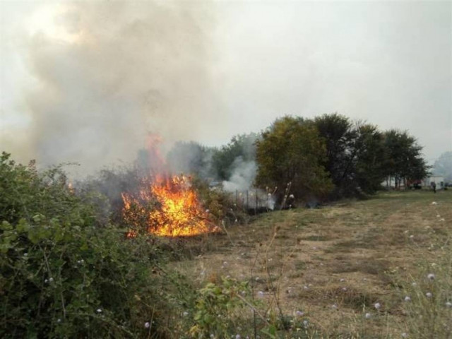 Fire in mountain Taygetus