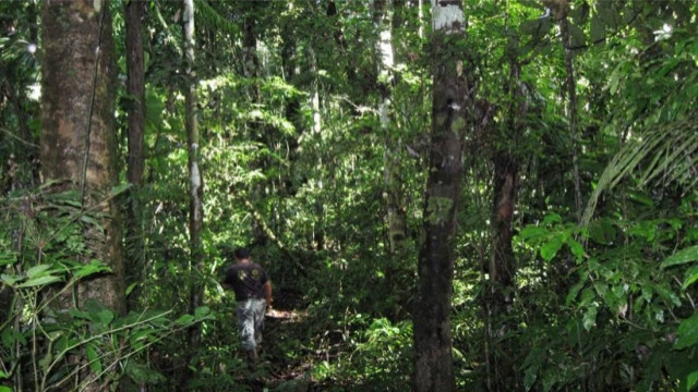 Ισημερινός: Ιθαγενείς σκότωσαν εργαζόμενο ανθρωπιστικής βοήθειας