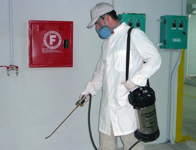 Σε εφαρμογή πρόγραμμα μυοκτονίας στη Ζάκυνθο