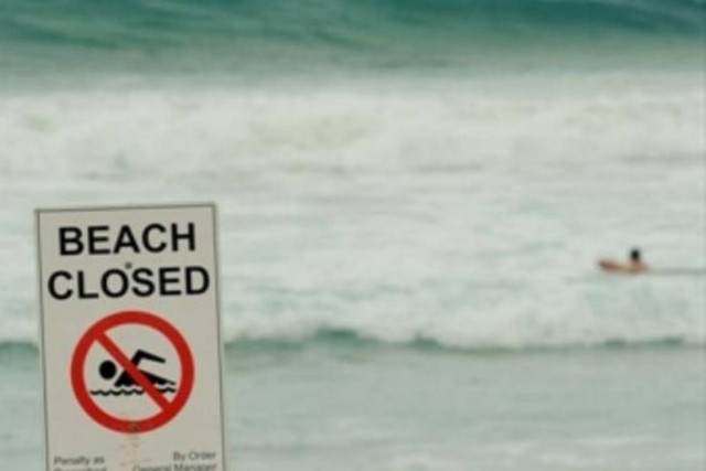 Κολύμπησε στη παραλία που κατασπάραξαν τη γυναίκα του!