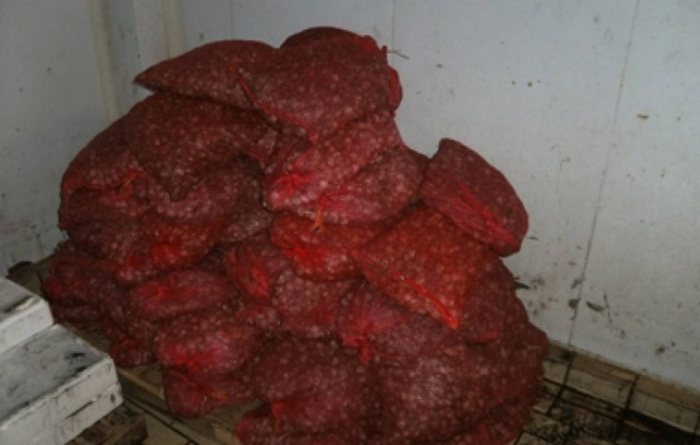 Κατασχέθηκαν ακατάλληλα για κατανάλωση όστρακα