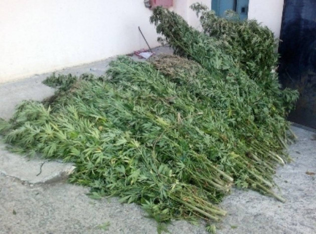 Στα χέρια της ΕΛ.ΑΣ. 54χρονος με ποτήρια... κάνναβης