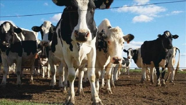 Αναγκαστική προσγείωση  Boeing 747 λόγω... αερίων!