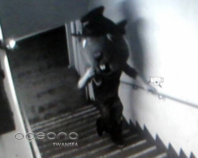 Κάστορας εισέβαλε σε κλαμπ και έκλεψε ένα… (video)