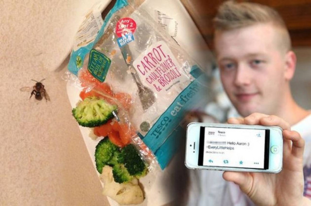 Βρήκε έντομο σε λαχανικά και του απάντησαν ότι… ! (photos)