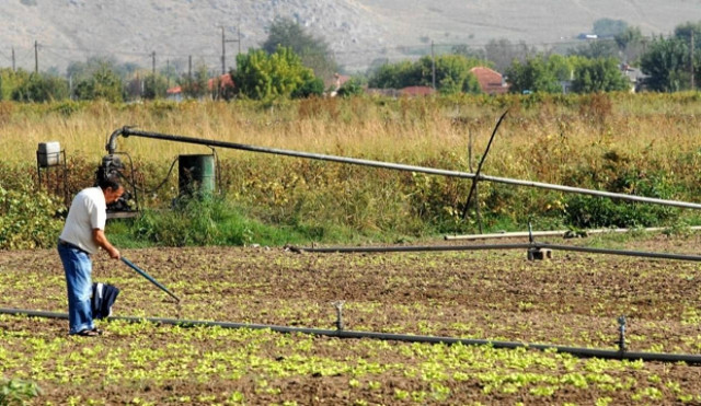 ΕΛΓΑ: Την Τρίτη 118.380 ευρώ σε 209 παραγωγούς