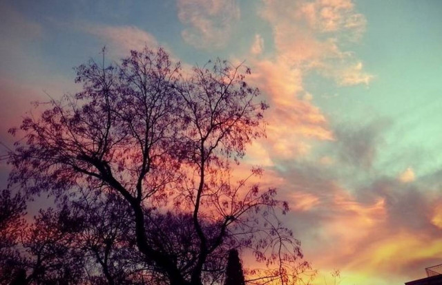 Η πιο όμορφη φωτογραφία της άνοιξης! (εικόνα)