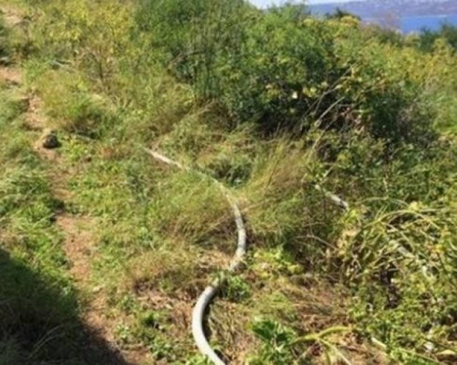 Κρήτη: Έκαναν… φτερά τα καλώδια για τους γάμους των Κινέζων