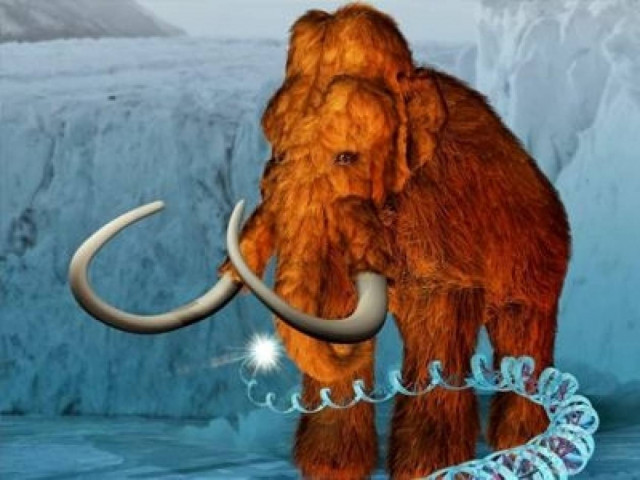 DNA από... κατεψυγμένα μαμούθ στη δυτική Μακεδονία!