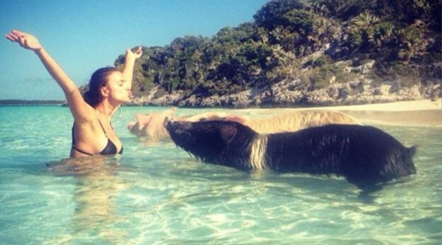 Ο Ρονάλντο φωτογραφίζει την Ιρίνα σε μια παραλία με... γουρούνια(pics)