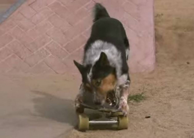 Η μαγεία της αργής κίνησης! (Βίντεο)