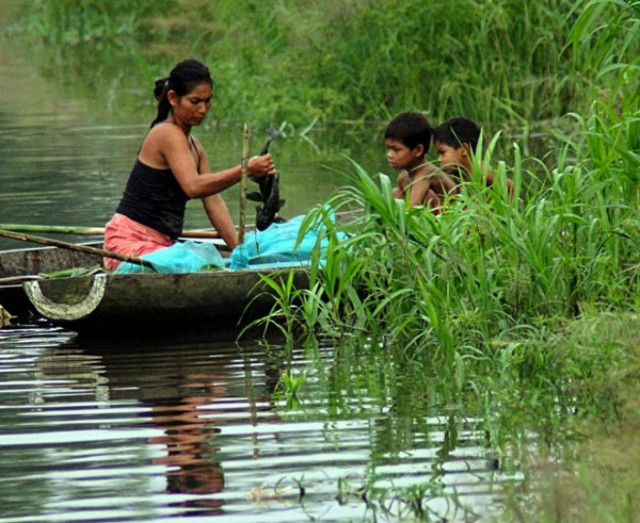 Αυτή είναι η Μακεδονία... του Αμαζονίου