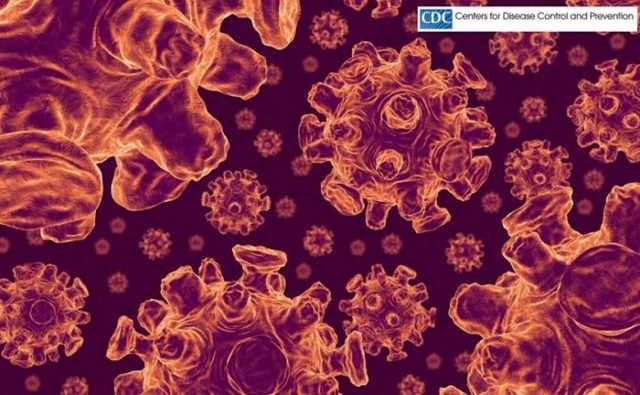 Τι είναι ο θανατηφόρος ιός MERS