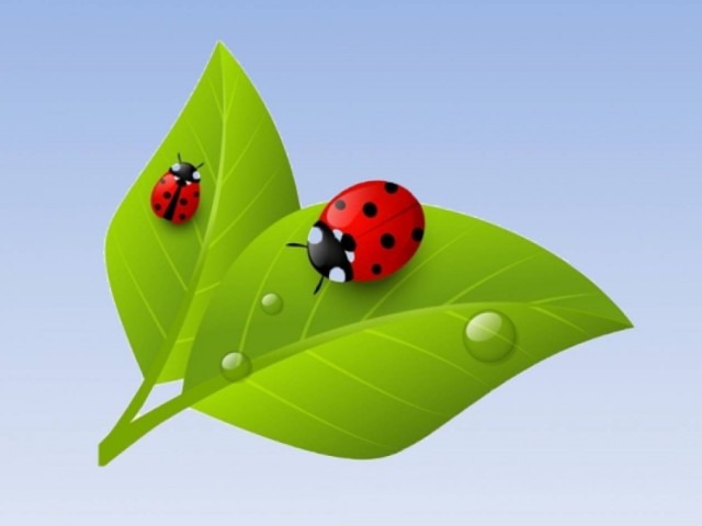 Οι τυχερές και όμορφες στιγμές της ημέρας: Δευτέρα 21 Απριλίου