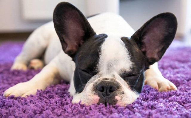 Η Νο 1 λύση για… όνειρα γλυκά