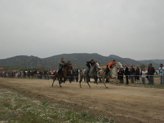 Ιπποδρομίες στη Συκιά Χαλκιδικής