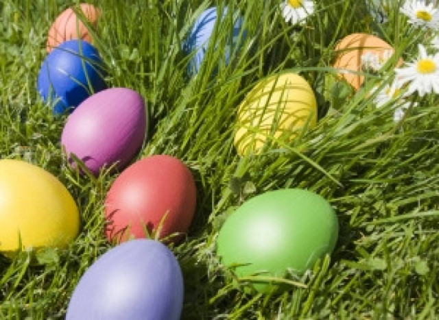 Την ώρα που μάζευε πασχαλινά αυγά έκανε μια... μακάβρια ανακάλυψη!